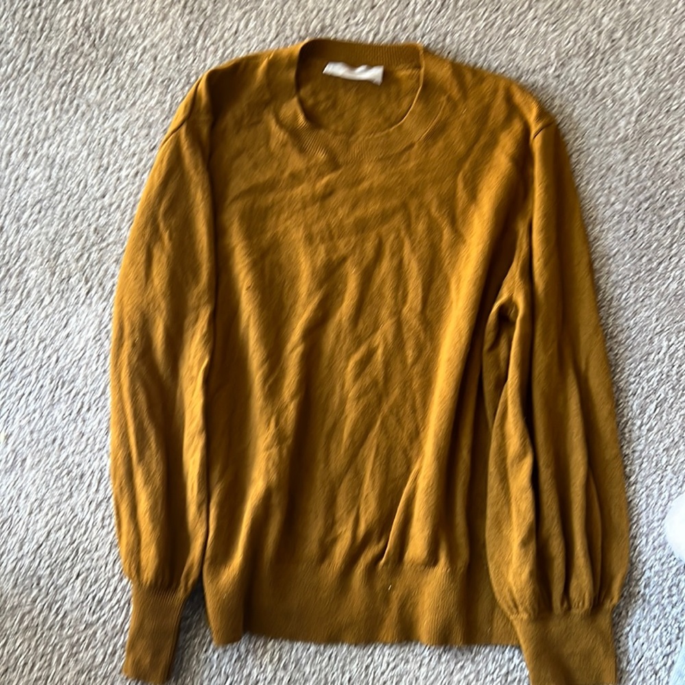 Everlane Cashmere Sweater